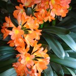 DSC00628