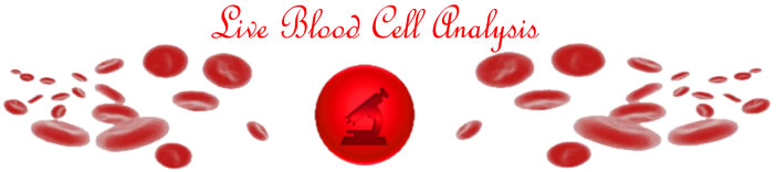 Live Blood Cell Analysis by Simona Stepancic